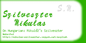 szilveszter mikulas business card